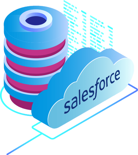 Salesforce development company in India